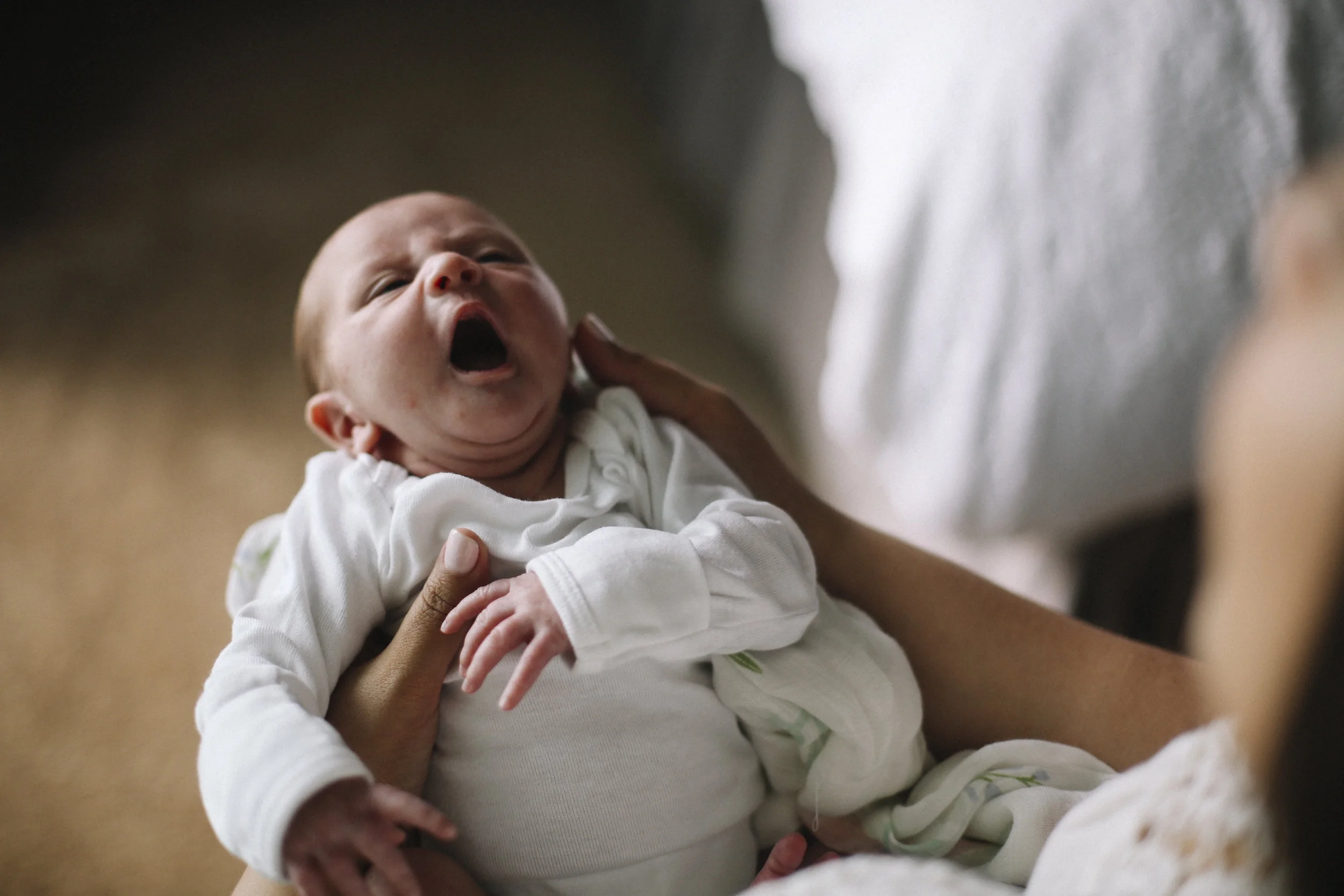 Newborn photo session