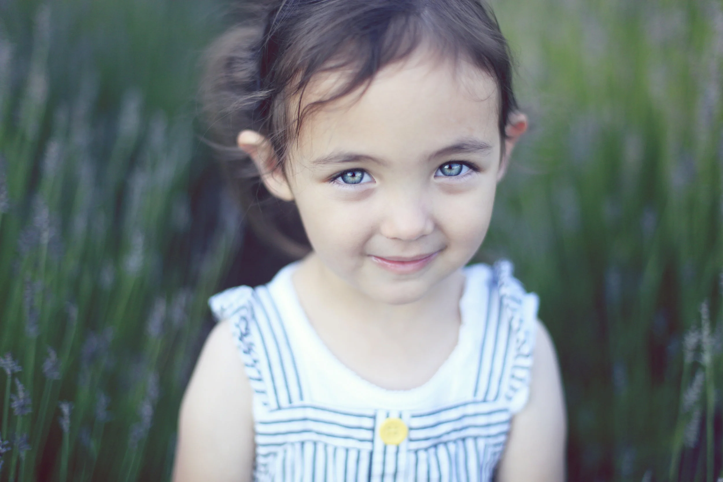 Lavender Photo Sessions July 1st