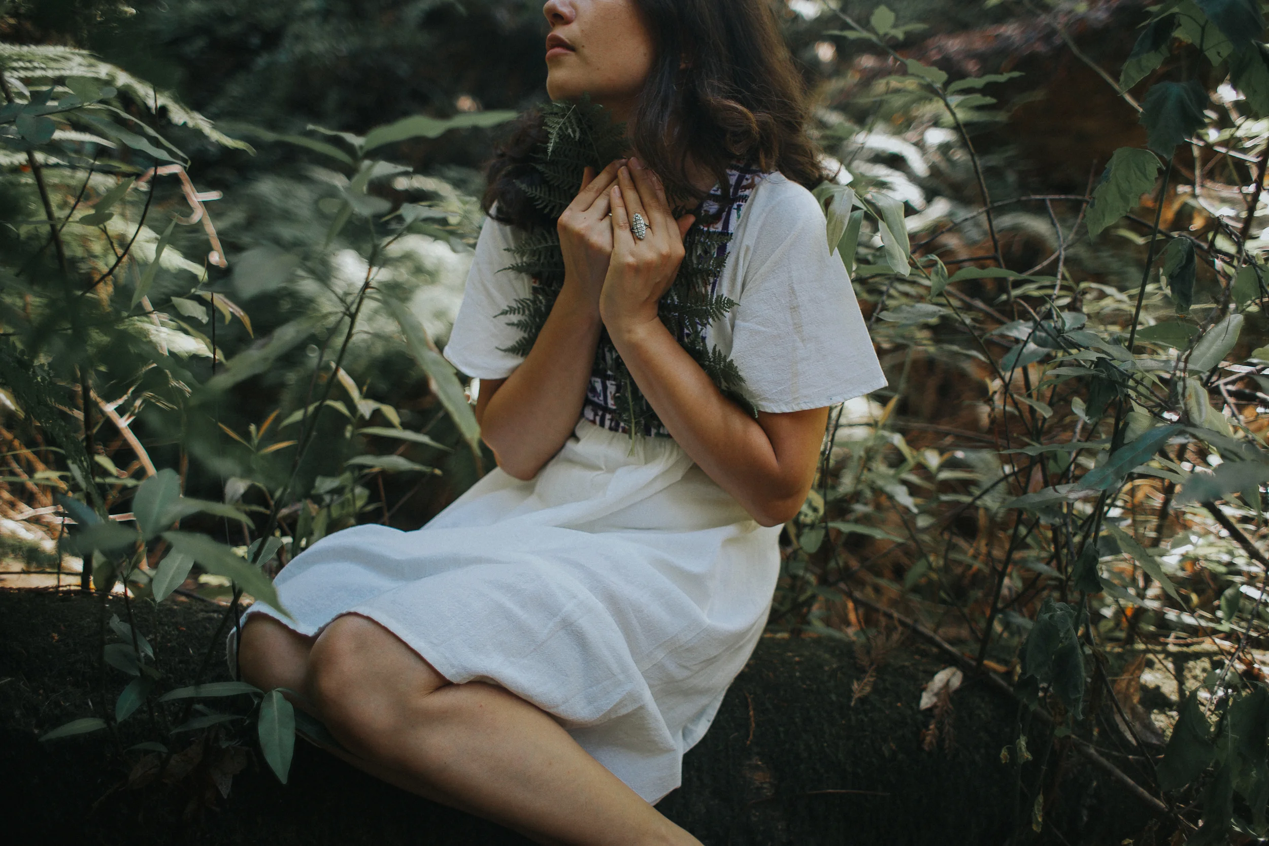 Into the woods, Henry Cowell park, Los Gatos, Ca